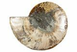 Cut & Polished Ammonite Fossil (Half) - Madagascar #345990-1